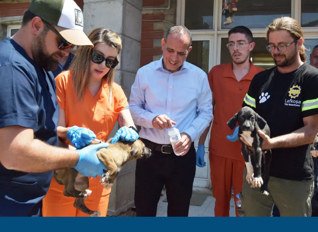 Lefkoşa Barınağı’ndaki hayvanlara sağlık kontrolü